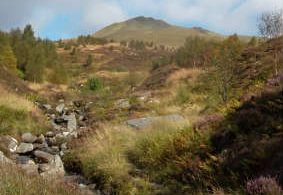 Ben Lawers Nature Reserve